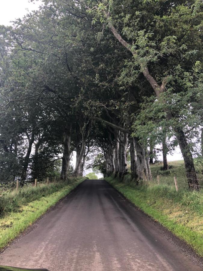 Den @ The Dark Hedges Apartment Stranocum Exterior foto